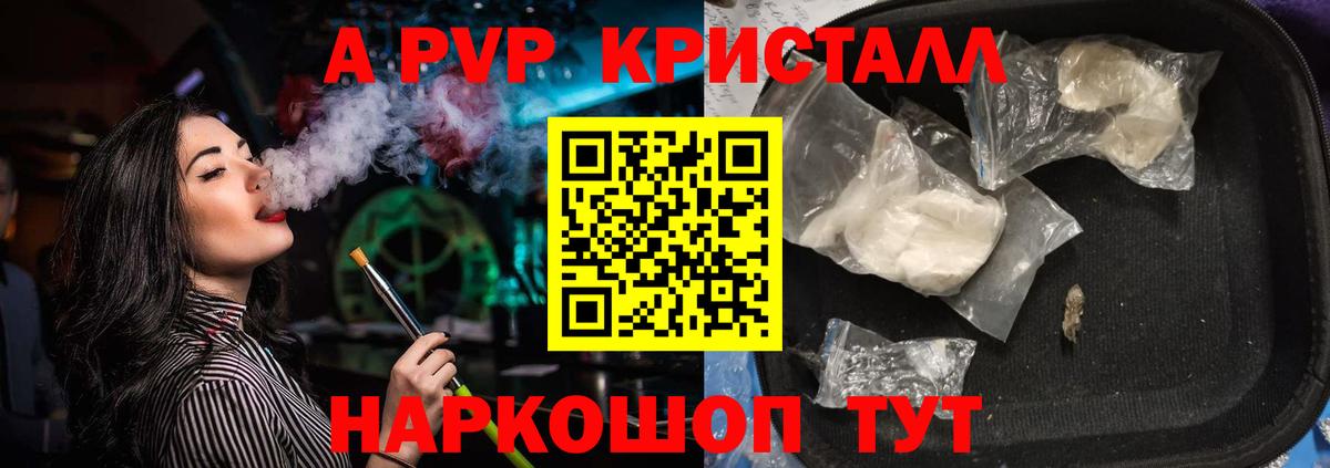 A PVP СК КРИС Элиста